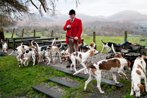 Fell Hunting at the Drunken Duck Barngates Ambleside by Betty Fold Gallery